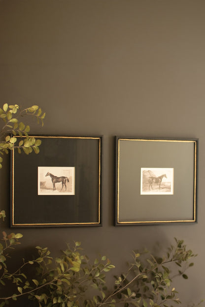 Set of 2 Framed Black and White Horse Prints Under Glass - Chapin Furniture