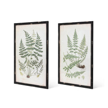 Botanical Study Fern Prints, Set of 2 Assorted Styles - Chapin Furniture