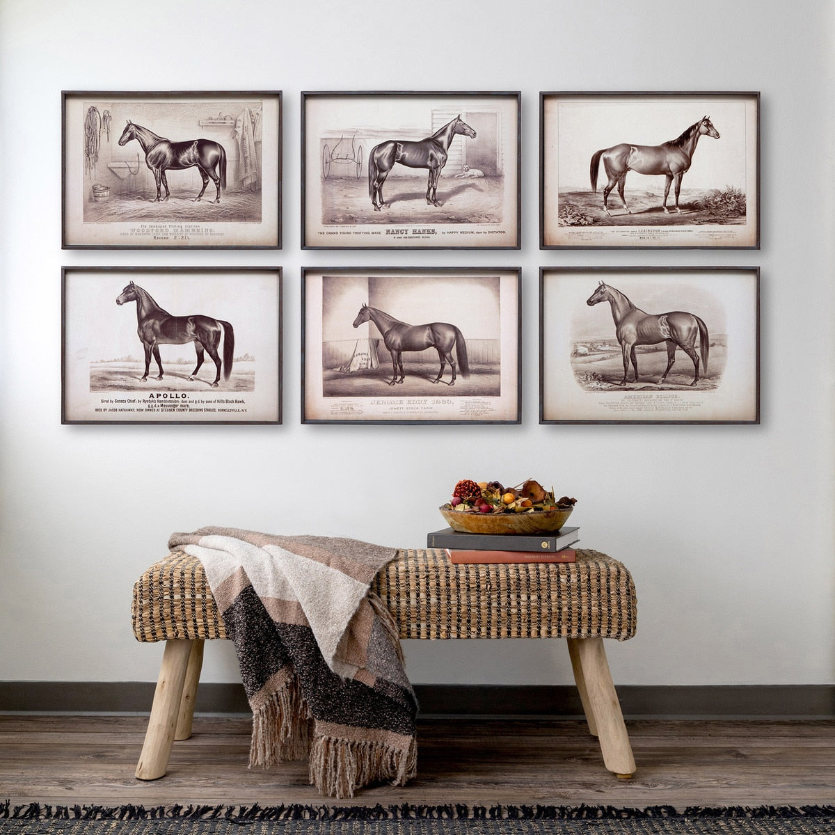 Prized Race Horse Framed Prints, Set of 6 Assorted Styles - Chapin Furniture