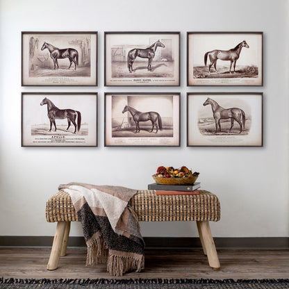 Prized Race Horse Framed Prints, Set of 6 Assorted Styles - Chapin Furniture