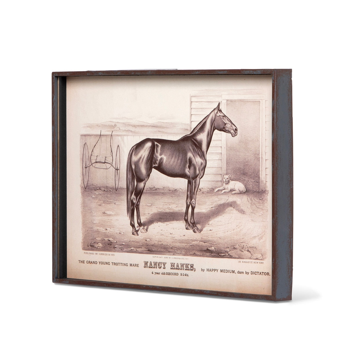 Prized Race Horse Framed Prints, Set of 6 Assorted Styles - Chapin Furniture