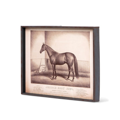 Prized Race Horse Framed Prints, Set of 6 Assorted Styles - Chapin Furniture