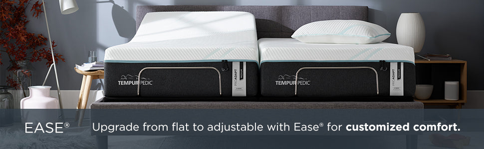 Tempur-Pedic TEMPUR- Ease® Power Base - Chapin Furniture
