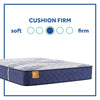 Sealy Golden Elegance Etherial Gold Cushion Firm Tight Top Mattress - Chapin Furniture