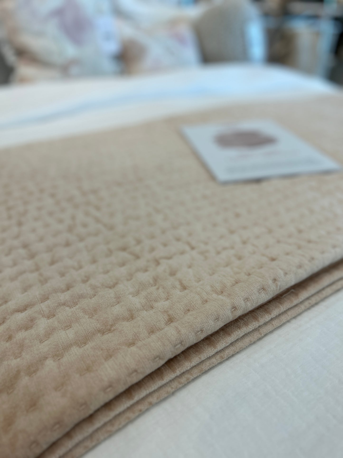 Bari Velvet Bliss Nude Quilt - Chapin Furniture