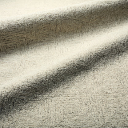Kafes Aleric KAF02 Ivory/White Rug - Chapin Furniture
