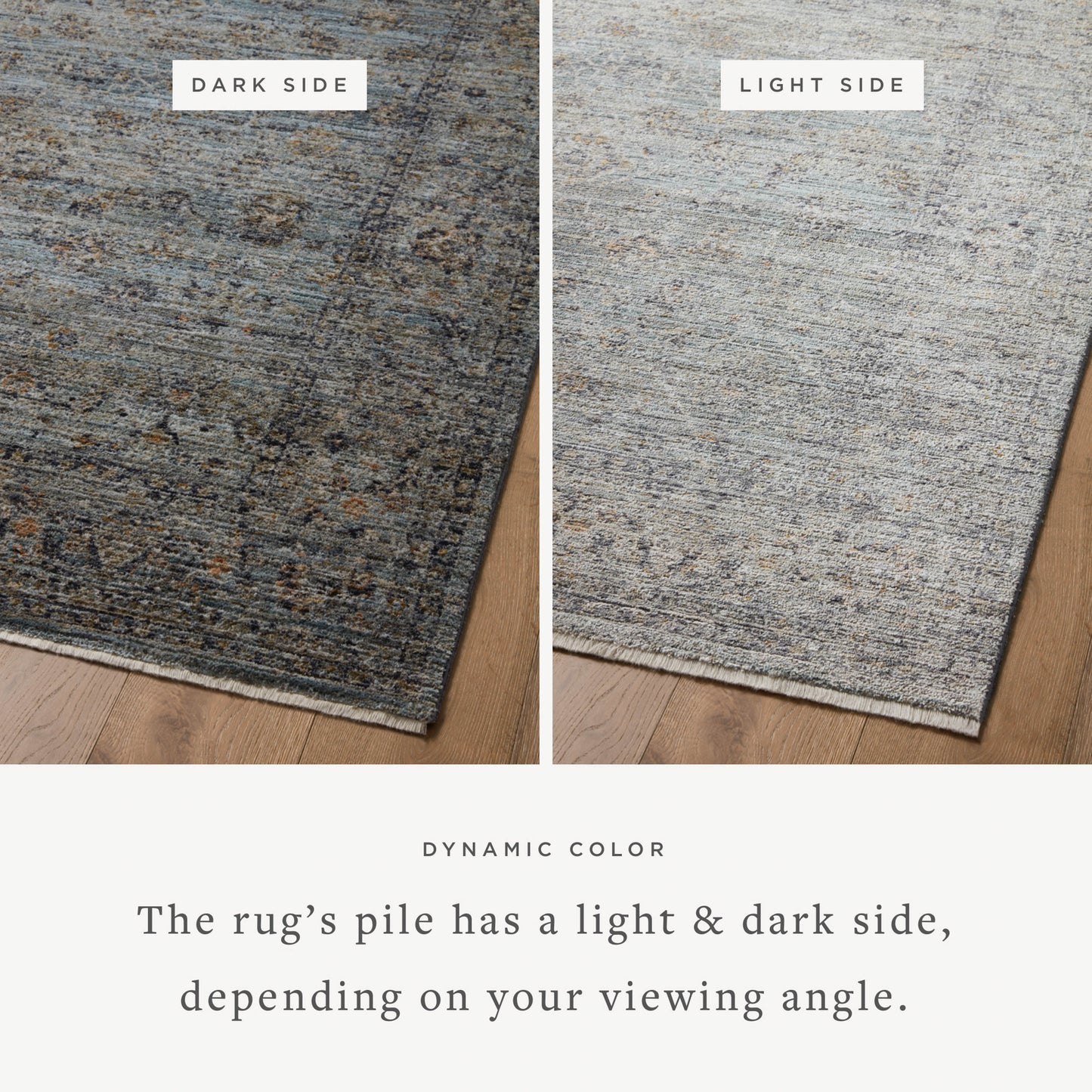 Jean Stoffer Katherine 01 Rug- Ocean/Gold - Chapin Furniture
