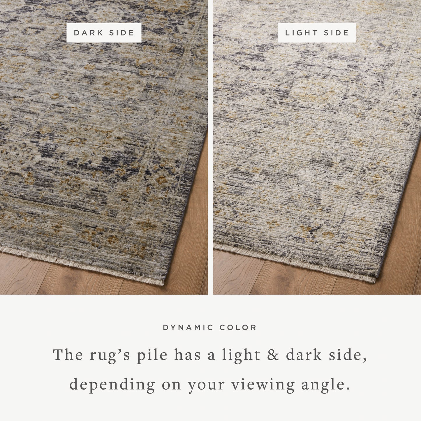 Jean Stoffer Katherine 02 Rug- Charcoal/Gold - Chapin Furniture