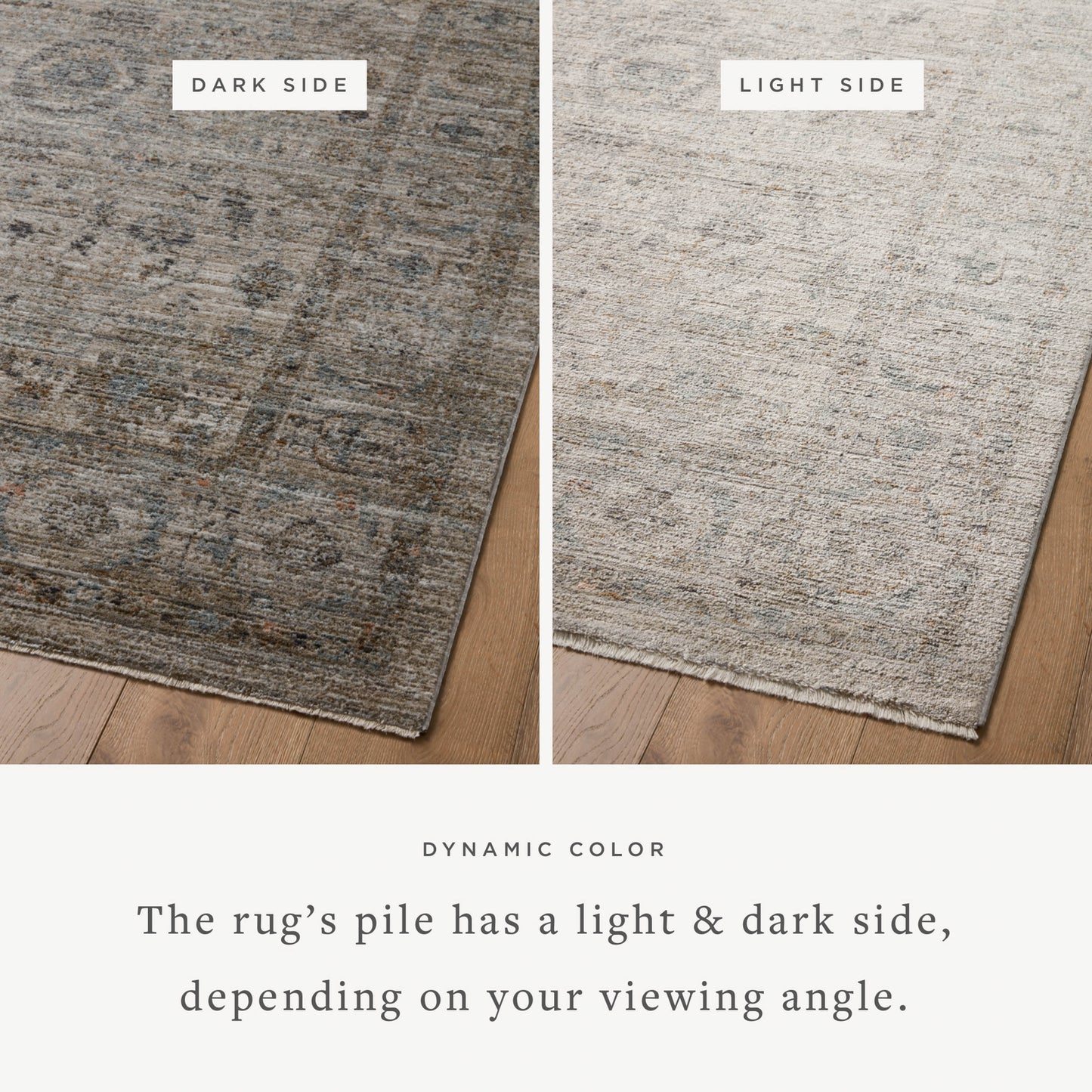 Jean Stoffer Katherine 03 Rug- Beige/Mist - Chapin Furniture