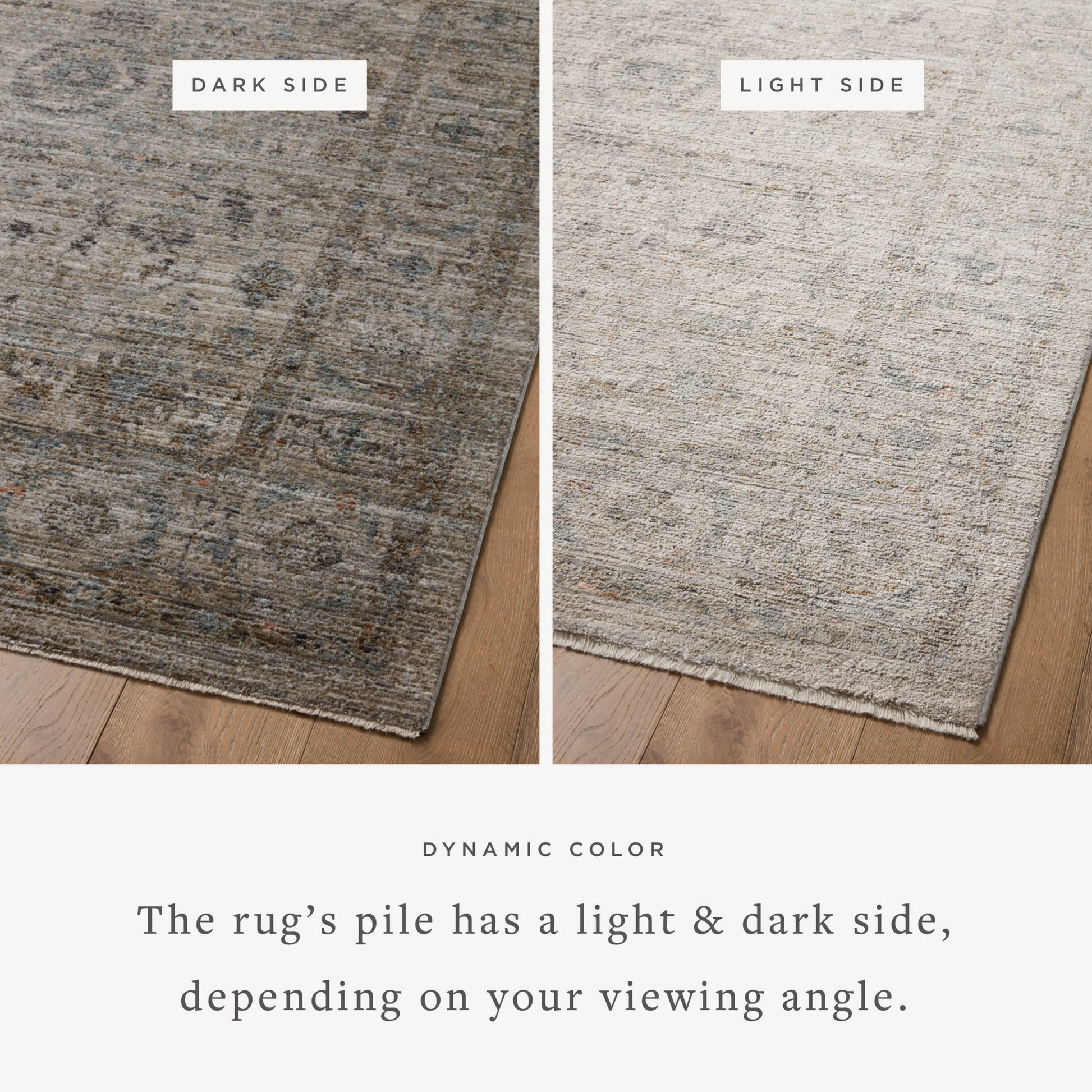 Jean Stoffer Katherine 03 Rug- Beige/Mist - Chapin Furniture