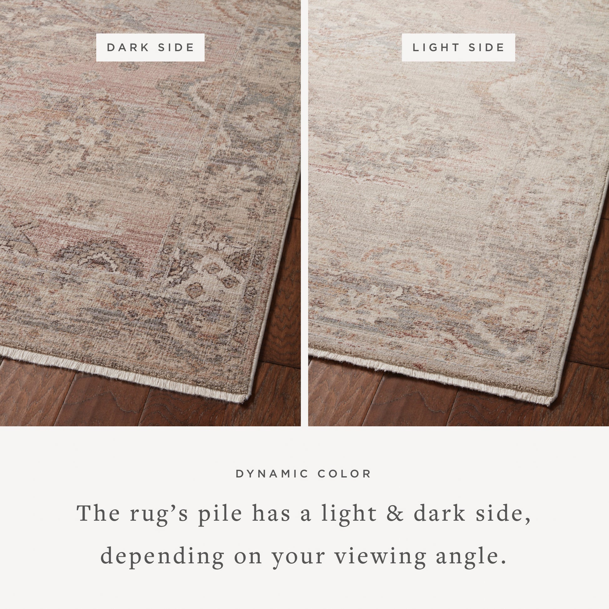 Lyra 01 Rug- Blush/Dove - Chapin Furniture