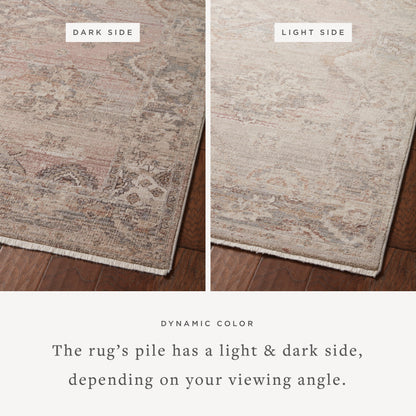 Lyra 01 Rug- Blush/Dove - Chapin Furniture