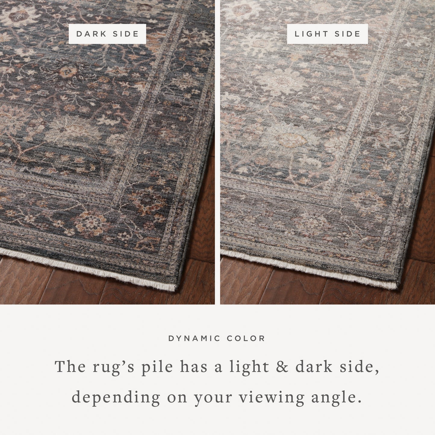 Lyra 04 Rug- Ink/Multi - Chapin Furniture
