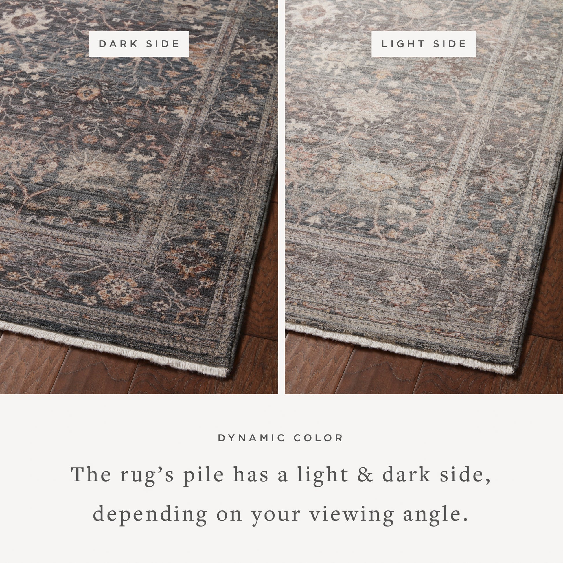 Lyra 04 Rug- Ink/Multi - Chapin Furniture