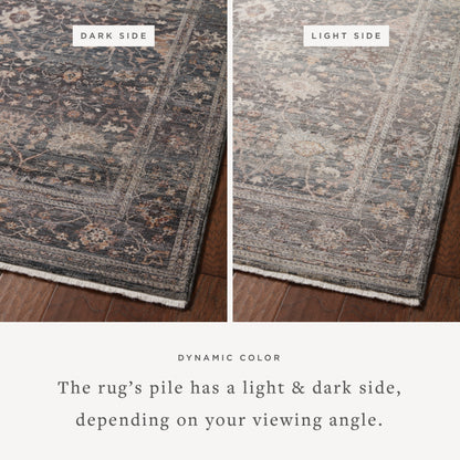 Lyra 04 Rug- Ink/Multi - Chapin Furniture