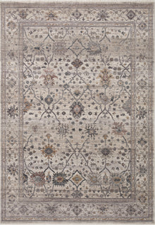 Lyra 04 Rug- Pebble/Multi - Chapin Furniture