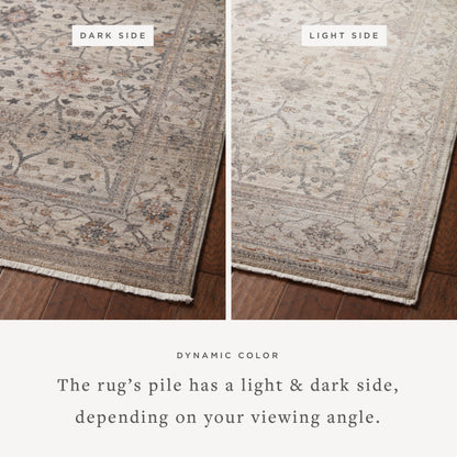 Lyra 04 Rug- Pebble/Multi - Chapin Furniture