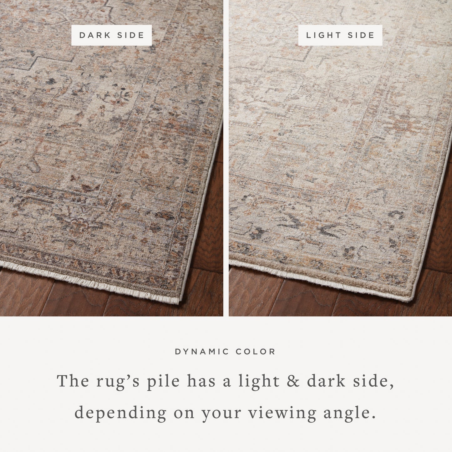Lyra 06 Rug- Natural/Gold - Chapin Furniture