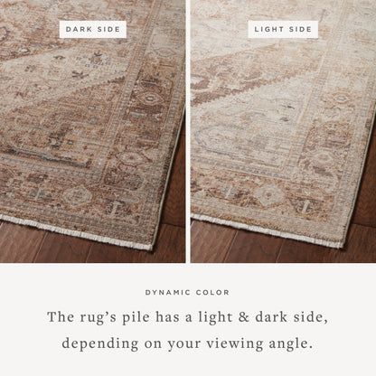 Lyra 07 Rug- Natural/Mocha - Chapin Furniture