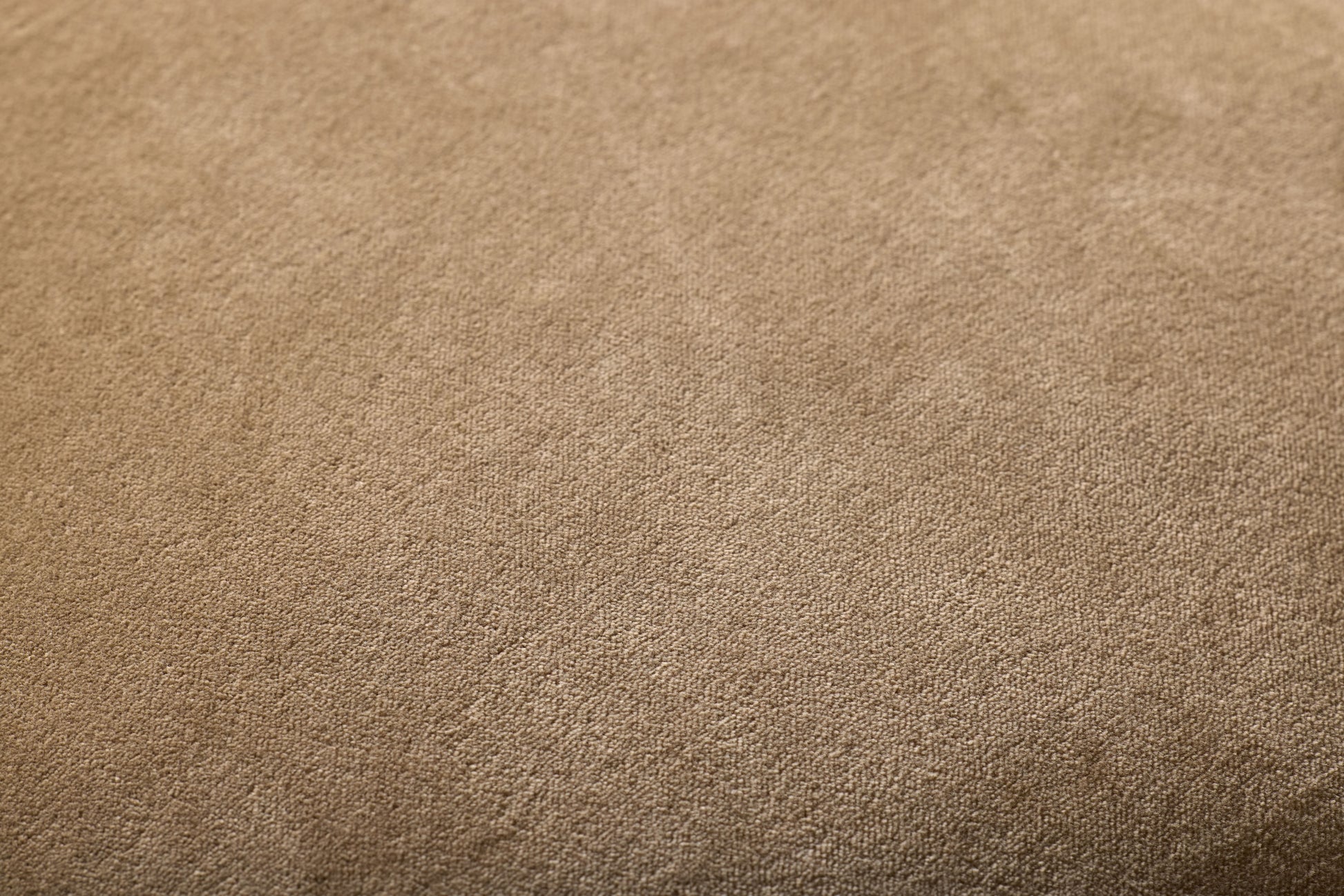 Magnolia Home PMH1153 Lydia Latte Pillow - Chapin Furniture