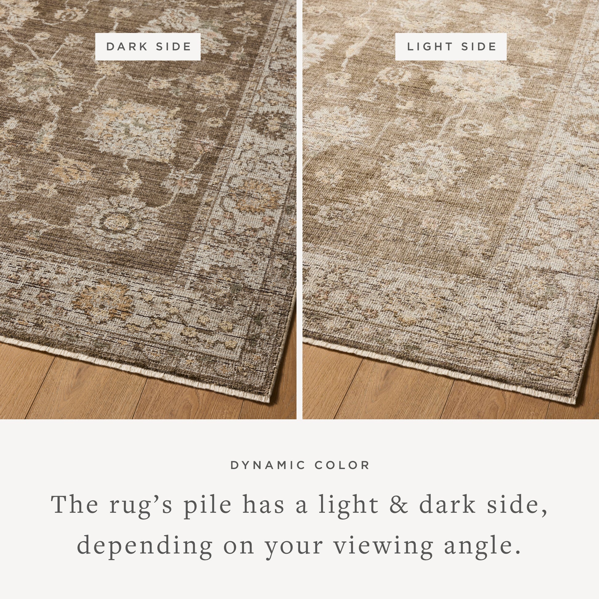 Priscilla 01 Bark/Ivory Rug - Chapin Furniture