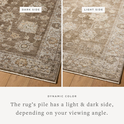 Priscilla 01 Bark/Ivory Rug - Chapin Furniture