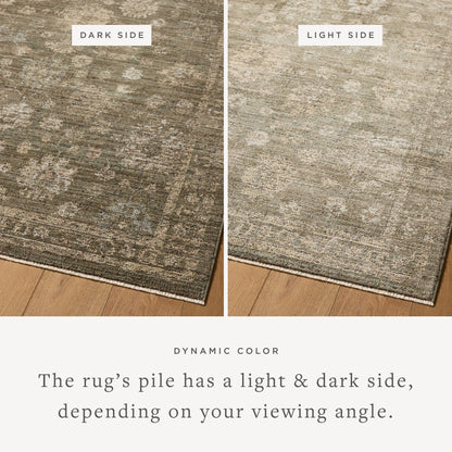 Priscilla 02 Olive/Sand Rug - Chapin Furniture