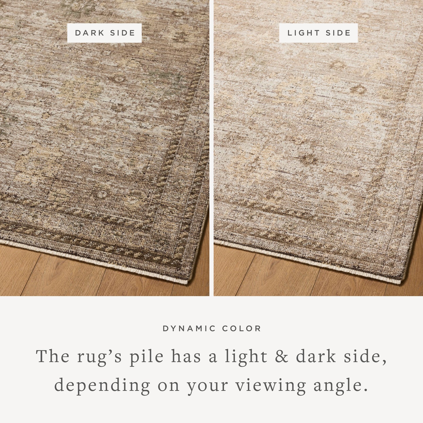 Priscilla 05 Sand/Earth Rug - Chapin Furniture