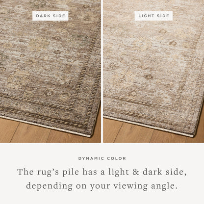 Priscilla 05 Sand/Earth Rug - Chapin Furniture