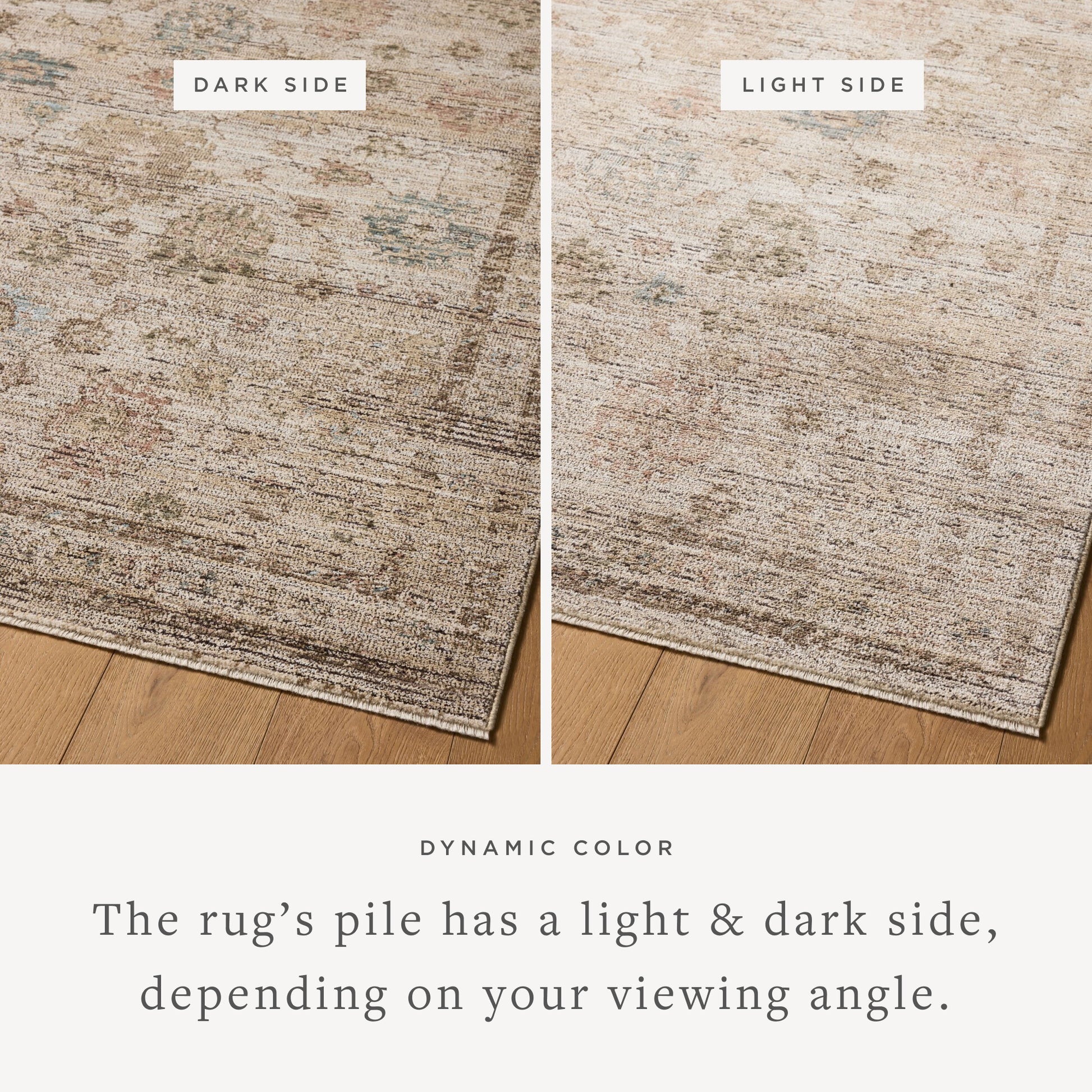 Priscilla 06 Ivory/Multi Rug - Chapin Furniture