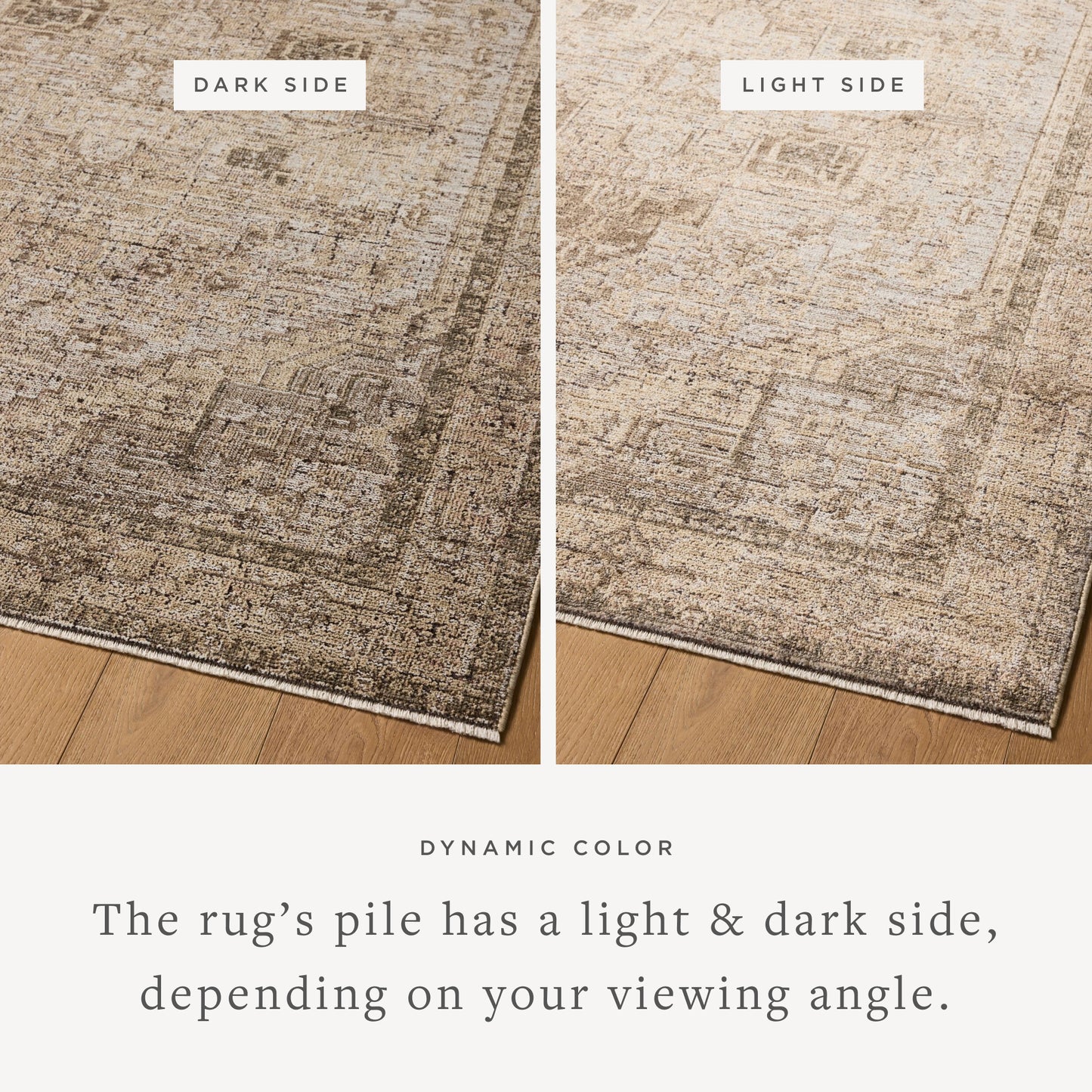 Priscilla 07 Beige/Earth Rug - Chapin Furniture