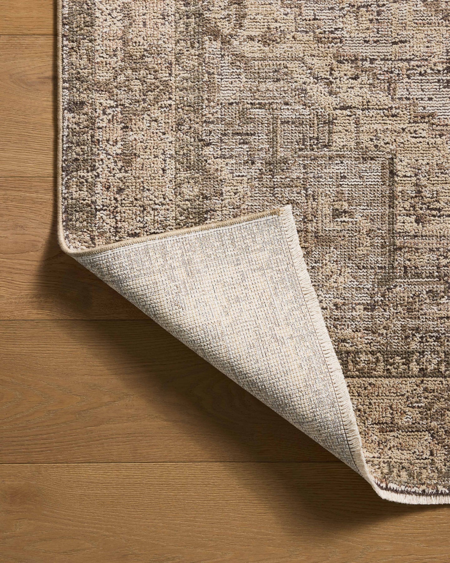 Priscilla 07 Beige/Earth Rug - Chapin Furniture