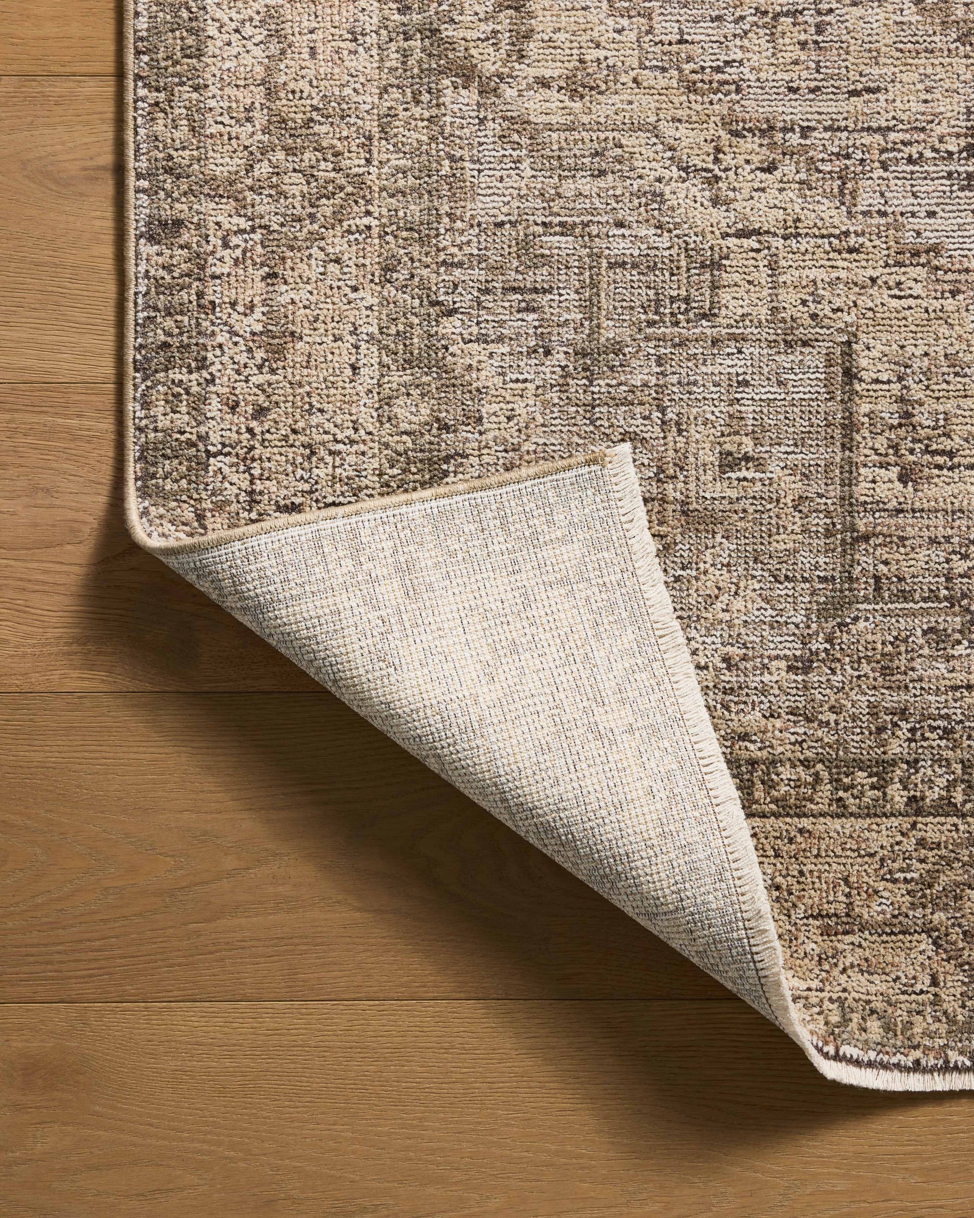 Priscilla 07 Beige/Earth Rug - Chapin Furniture