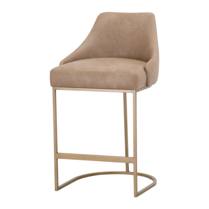 Parissa Counter Stool- Set of 2 - Chapin Furniture