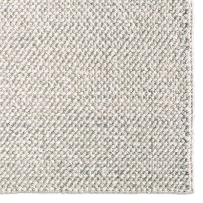 Rebecca Crispin RBC05 Ivory/Gray Indoor/Outdoor Rug - Chapin Furniture