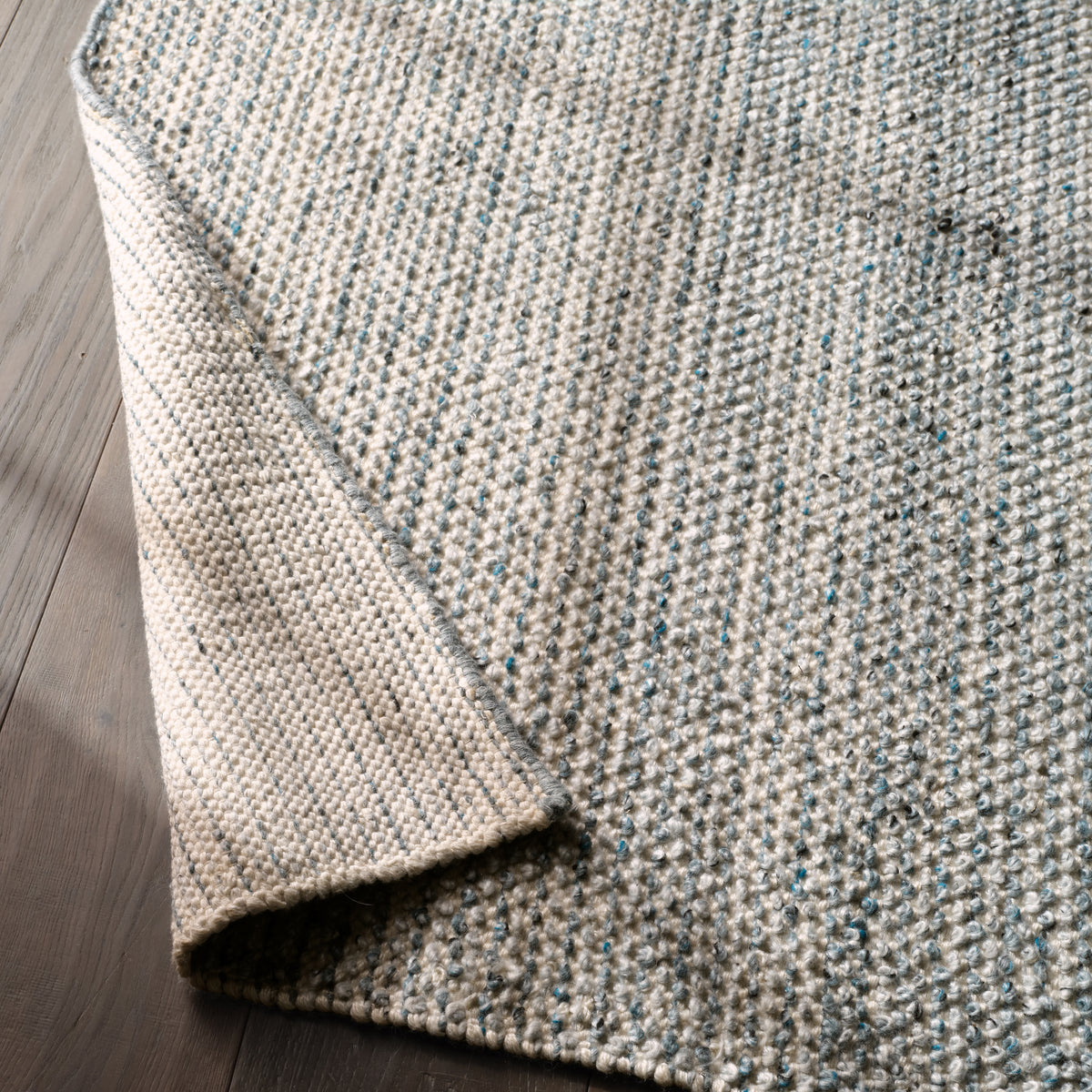 Rebecca Crispin RBC08 Blue/White Indoor/Outdoor Rug - Chapin Furniture