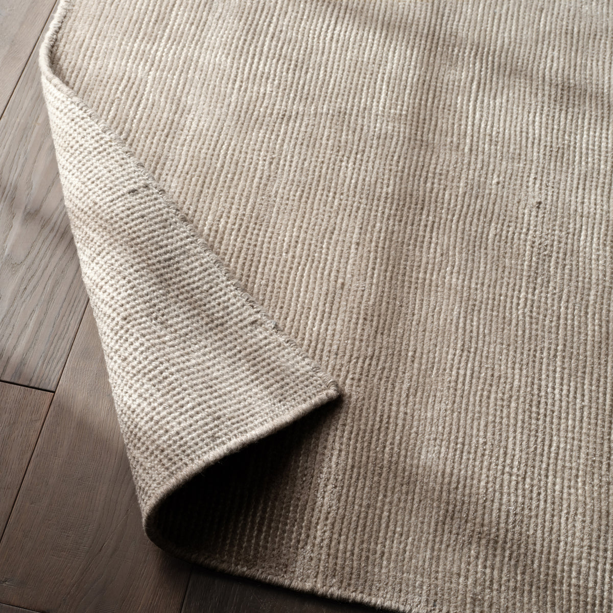 Rebecca Limon RBC10 Light Taupe Indoor/Outdoor Rug - Chapin Furniture