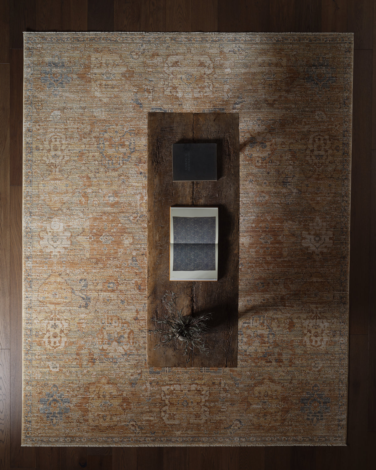 Stone Meadow Valdora STN04 Tan/Blue Rug - Chapin Furniture