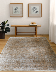 Becki Owens Margaret Rug- Dark Brown/Taupe 2304 - Chapin Furniture