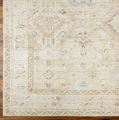 Becki Owens Marlene Rug- Ivory/Brown 2308 - Chapin Furniture