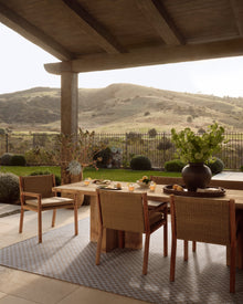 Amber Lewis Topanga 02 Natural / Silver - Chapin Furniture