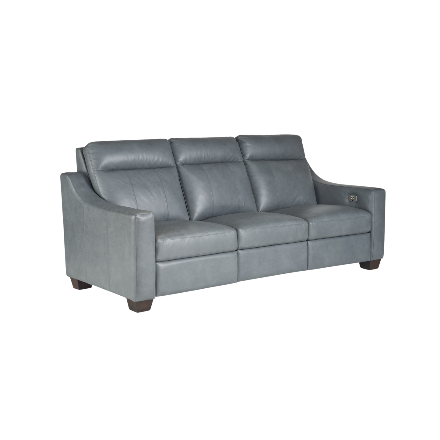 Higgins Motion Sofa - Leather - Chapin Furniture