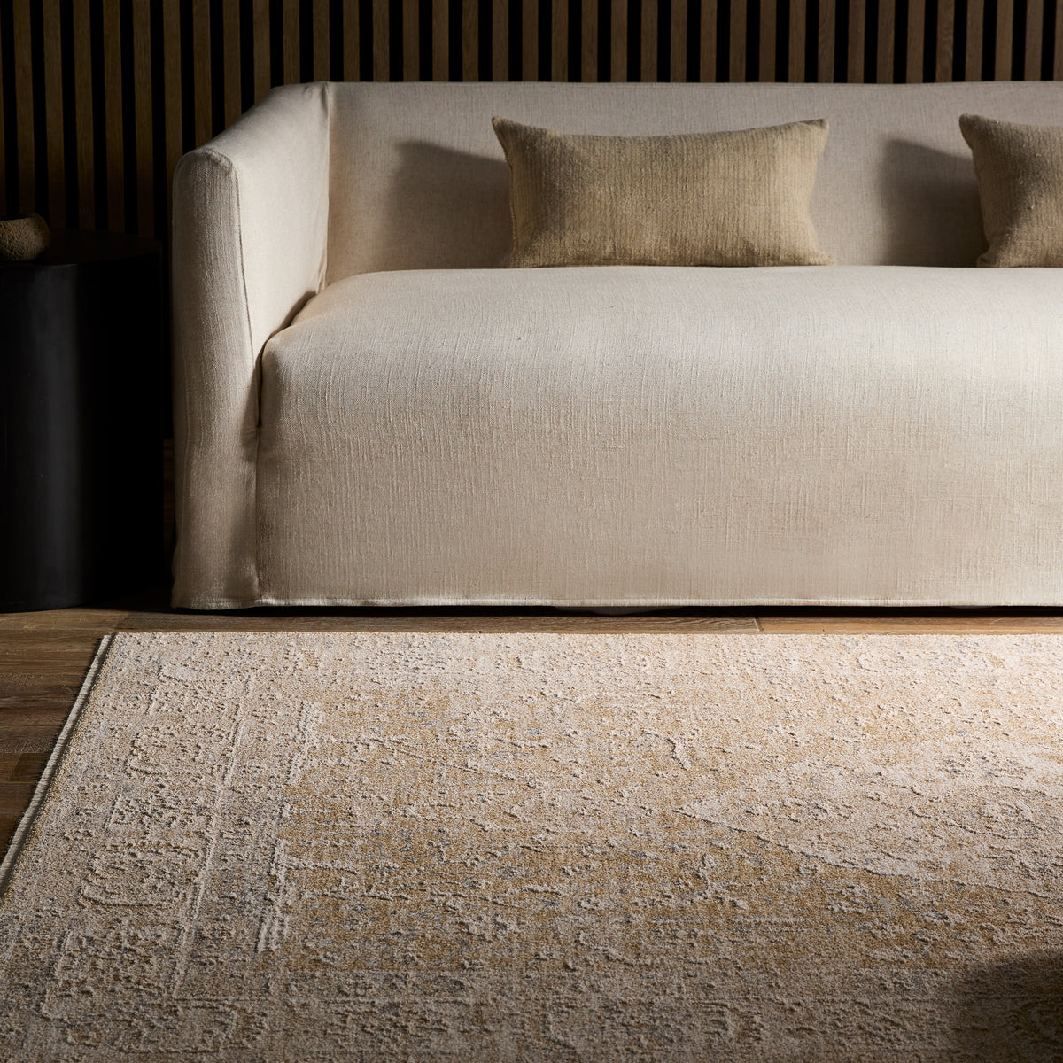 Vekhea Aslan VEK01 Tan/Ivory Rug - Chapin Furniture