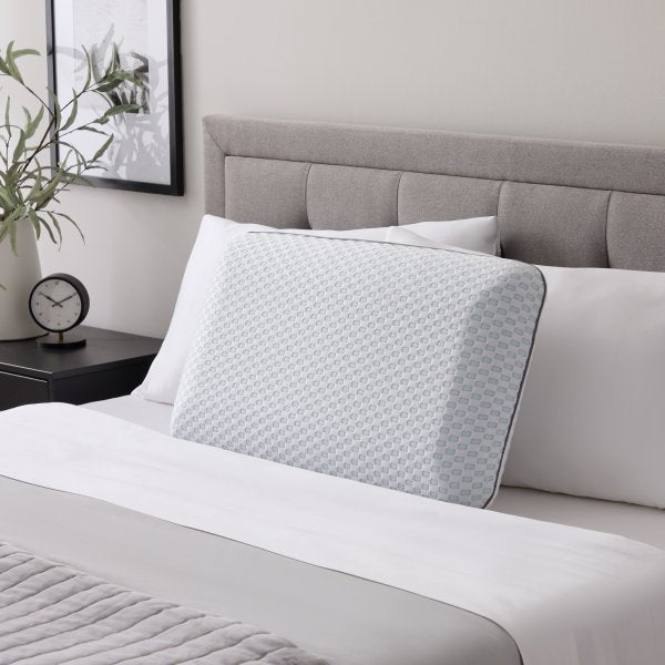 Bamboo Charcoal Pillow + Cooling Cover - Chapin Furniture