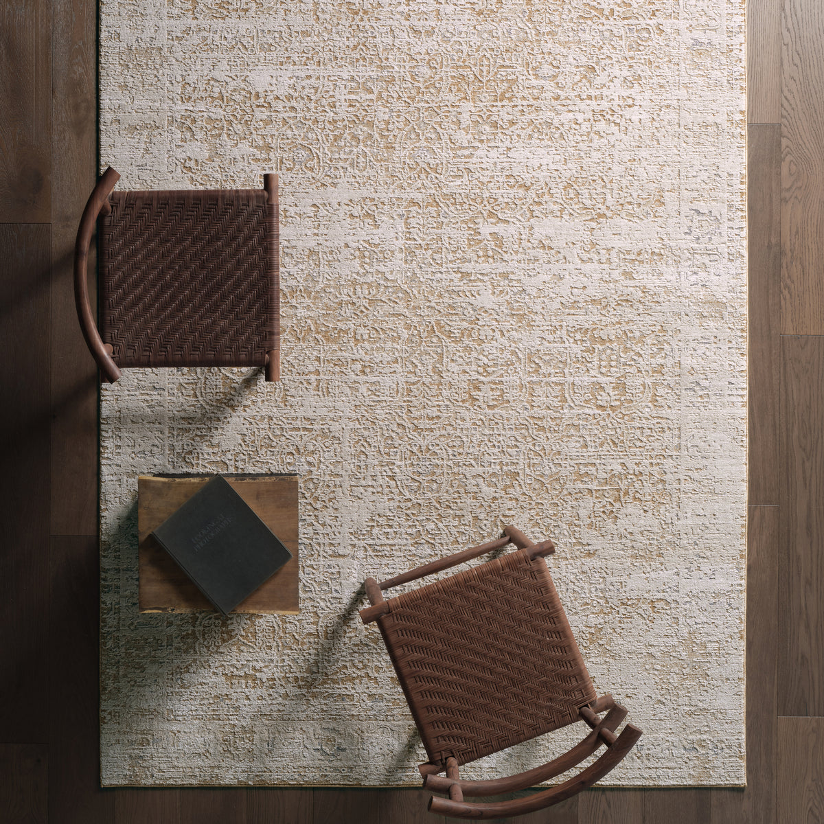 Zarif Arya ZAR04 Tan/Beige Rug - Chapin Furniture