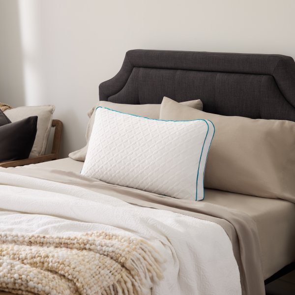 Flexfill + Hyperchill Pillow - Chapin Furniture