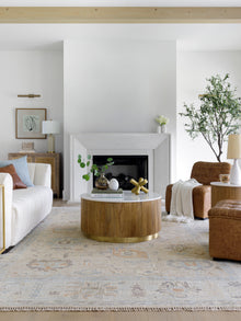 Antalya  Rug AAT-2314- Taupe, Brown - Chapin Furniture