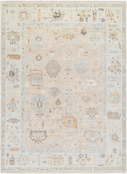 Antalya  Rug AAT-2314- Taupe, Brown - Chapin Furniture