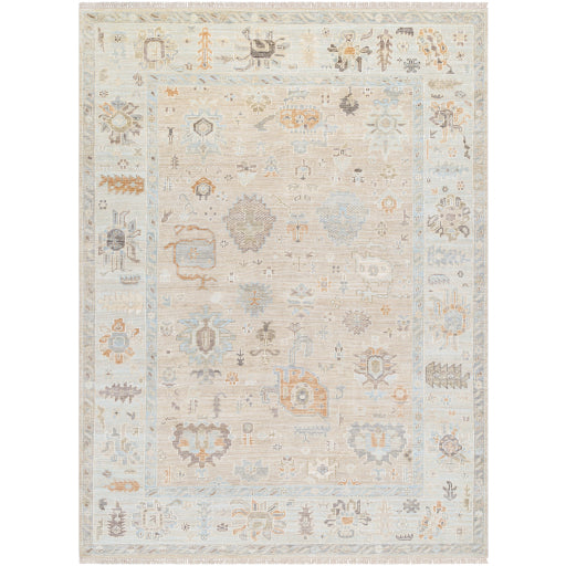 Antalya  Rug AAT-2314- Taupe, Brown - Chapin Furniture