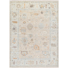 Antalya  Rug AAT-2314- Taupe, Brown - Chapin Furniture